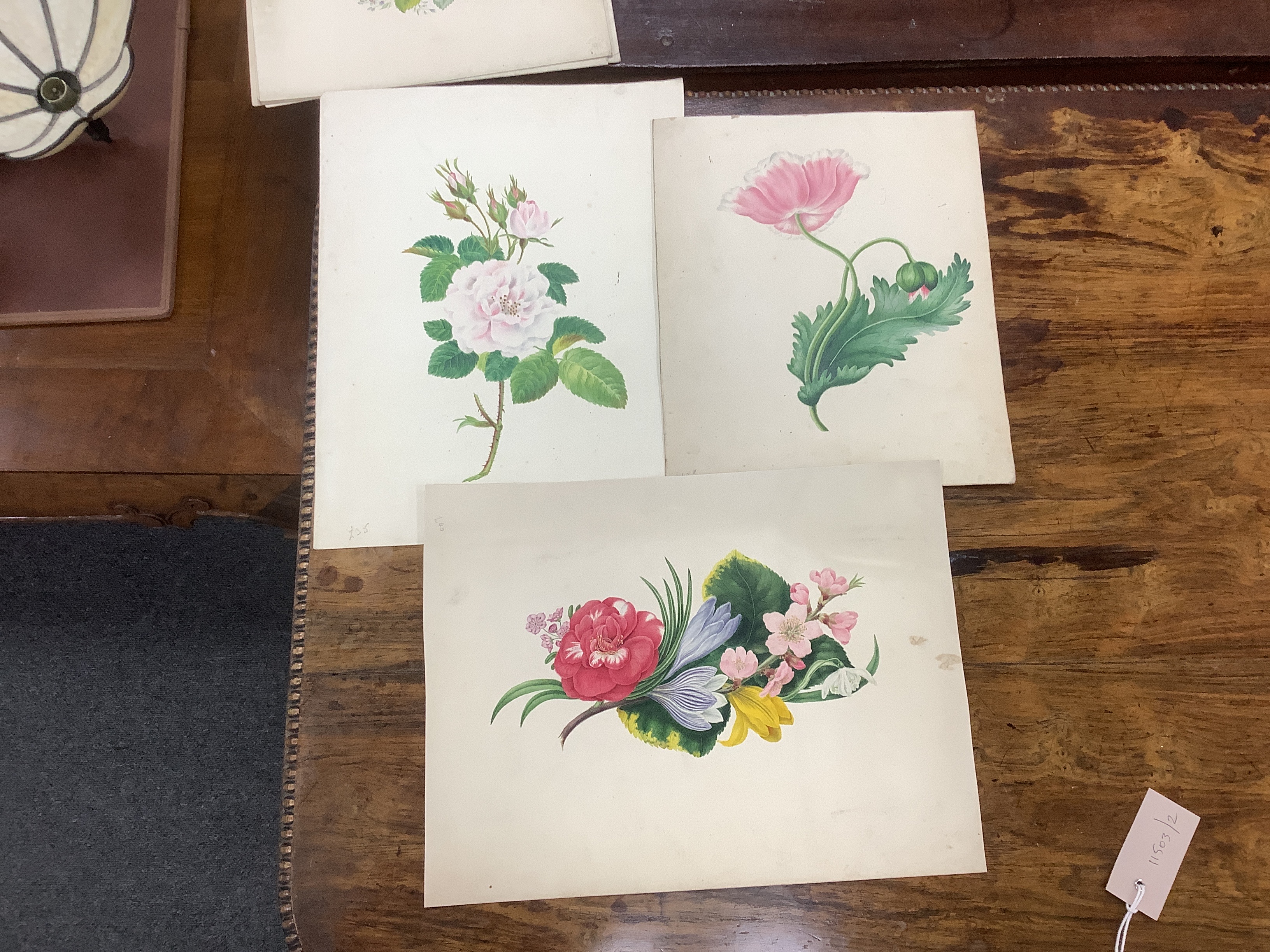 A collection of 19th century botanical watercolour studies on paper, one indistinctly signed and inscribed Manchester in ink, largest 34 x 26cm, unframed, housed in a tooled leather wallet